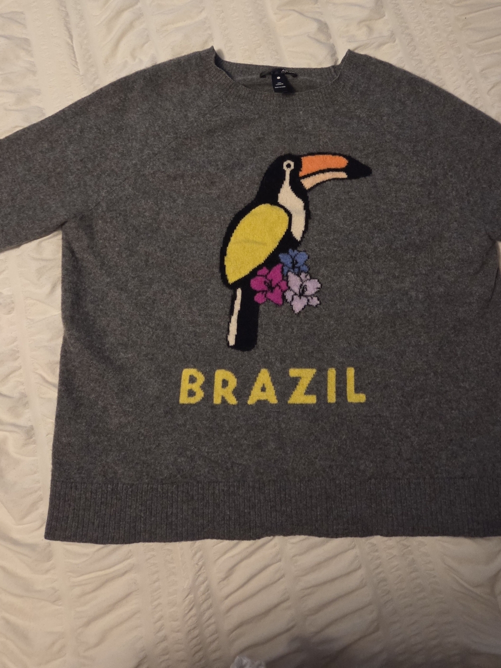 AQUA Cashmere Gray Crewneck Sweater with Toucan Brazil Graphic